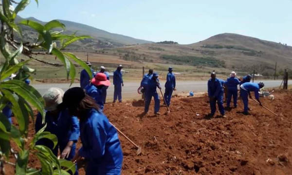 Agricultural Work